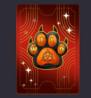Natal Cats Symbole