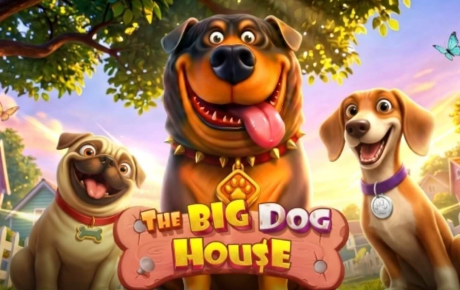 The Big Dog House