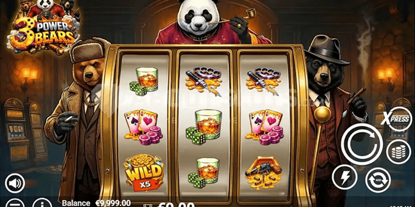 3 Power Bears