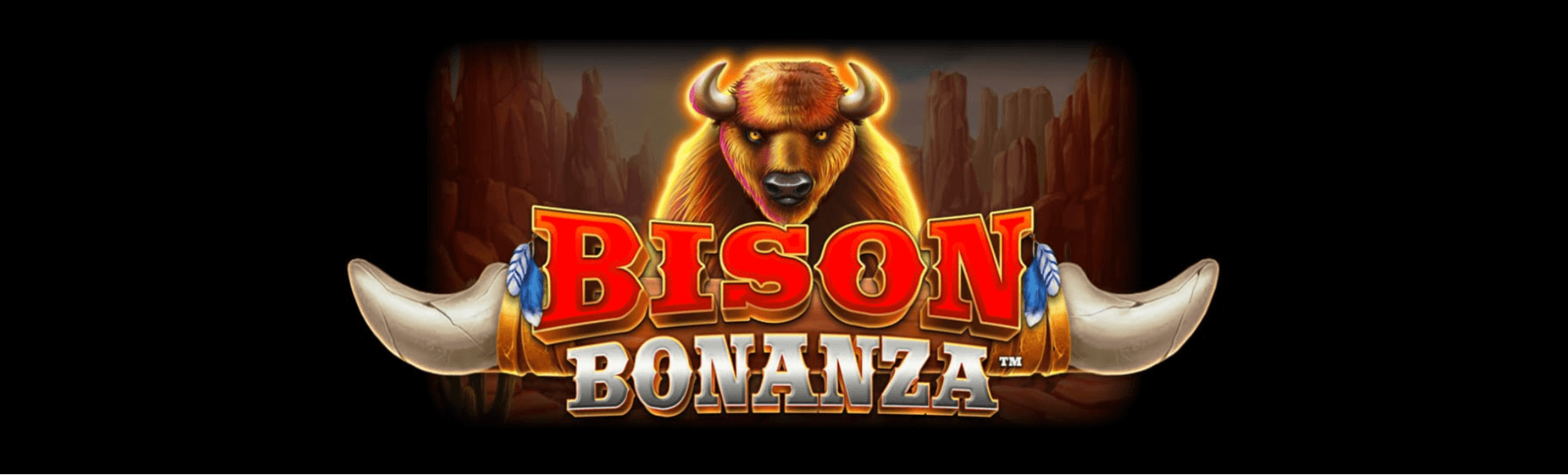 Bison Bonanza Avis
