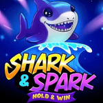 Shark & Spark logo