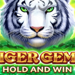 Tiger Gems Hold and Win logo
