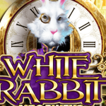 White Rabbit logo