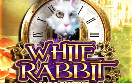 White Rabbit