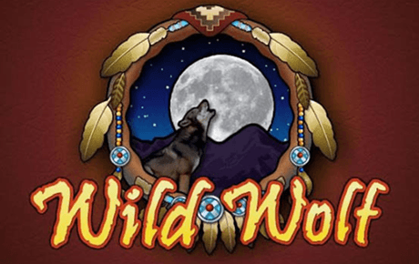 Wild Wolf