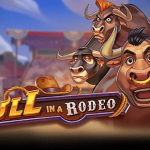Bull in a Rodeo logo