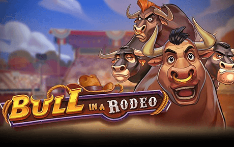 Bull in a Rodeo
