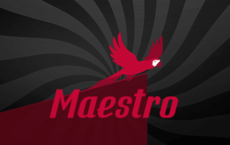 Maestro jeu crash